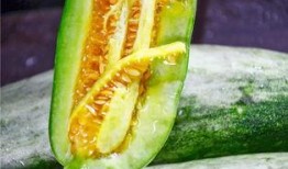 网红最新消息吃瓜,娱乐圈惊天大瓜，揭秘幕后真相！